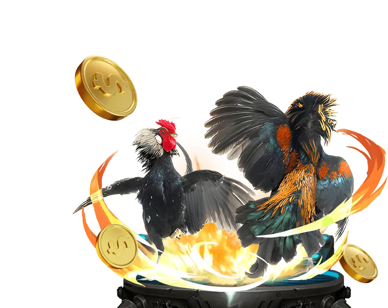 Đội ngũ hỗ trợ khách hàng đa dạng của Tai Choang