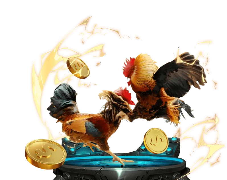 Khuyến mãi độc quyền tại Tai Choang